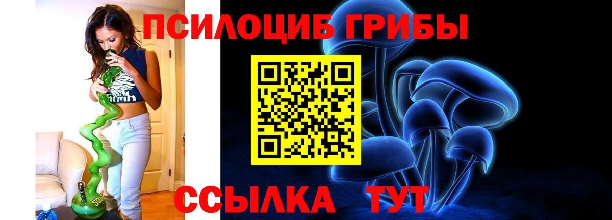 Красноармейск  Псилоцибиновые грибы Psilocybe  Вход с VPN 